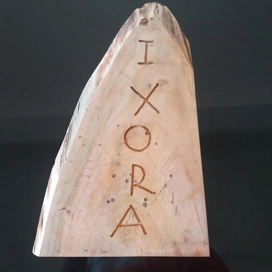 ורקלה The Ixora - A Boutique Homestay הודו