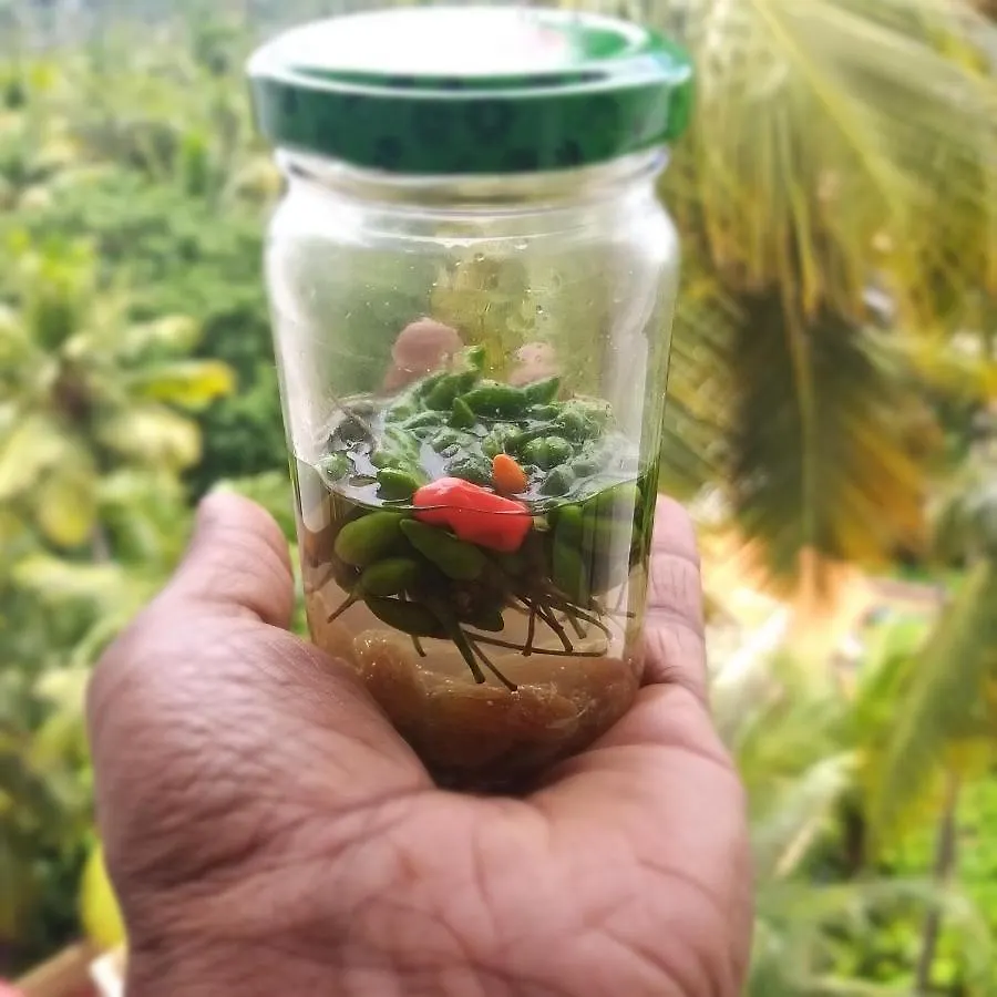 The Ixora - A Boutique Homestay Varkala