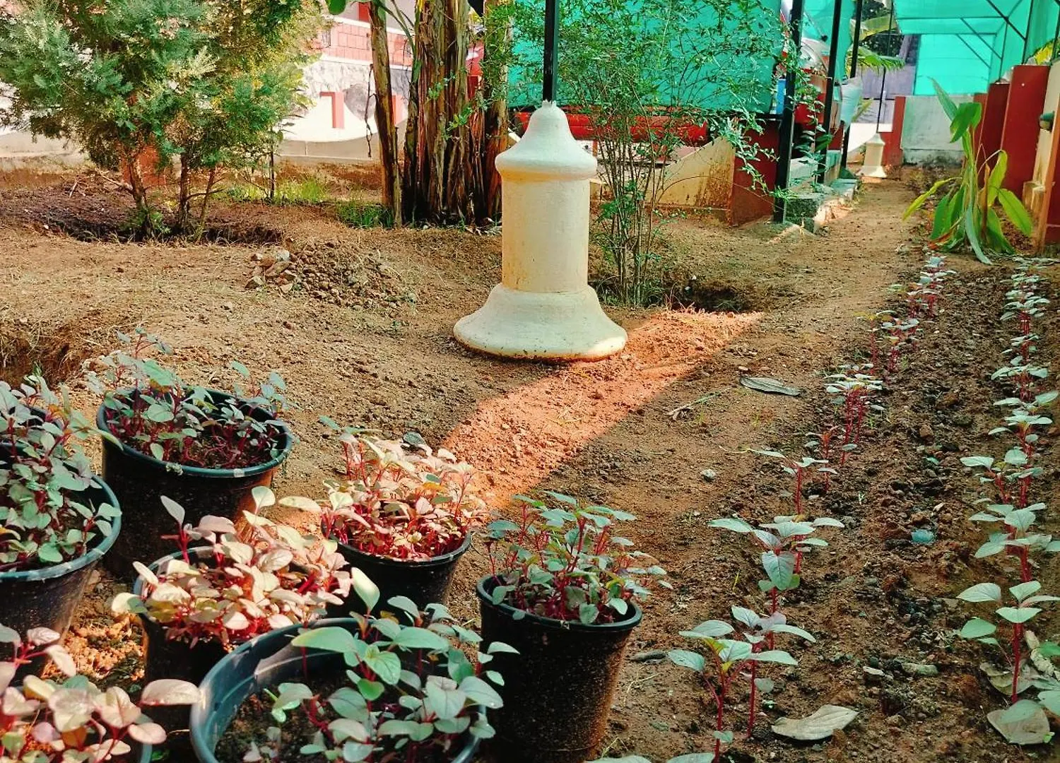 The Ixora - A Boutique Homestay Varkala