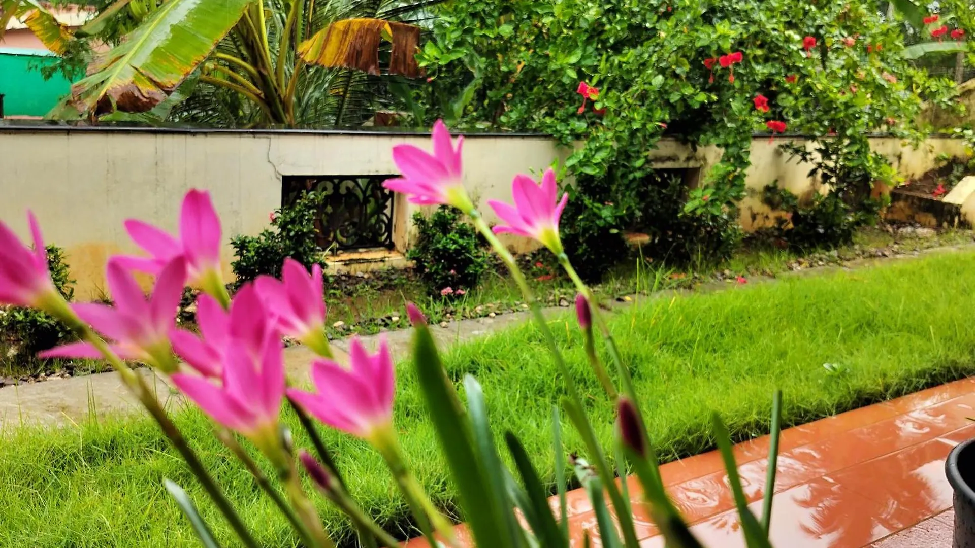 The Ixora - A Boutique Homestay Varkala
